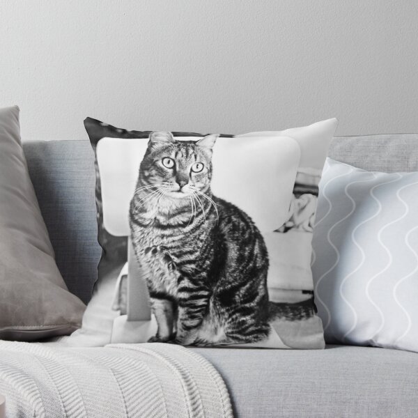 Item preview, Posing cat designed and sold by jelliede.