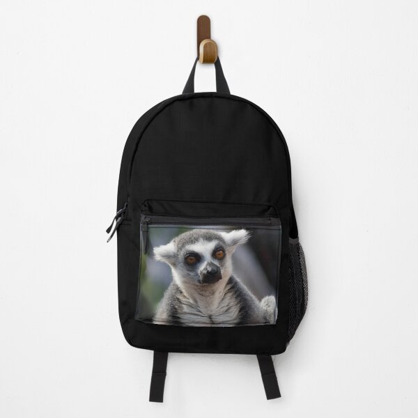 Item preview, The resting Ring-tailed Lemur monkey designed and sold by Between Clouds.