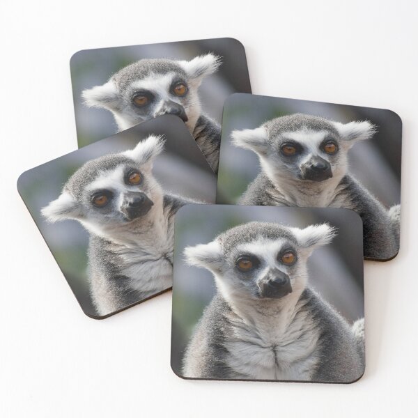 Item preview, The resting Ring-tailed Lemur monkey designed and sold by Between Clouds.