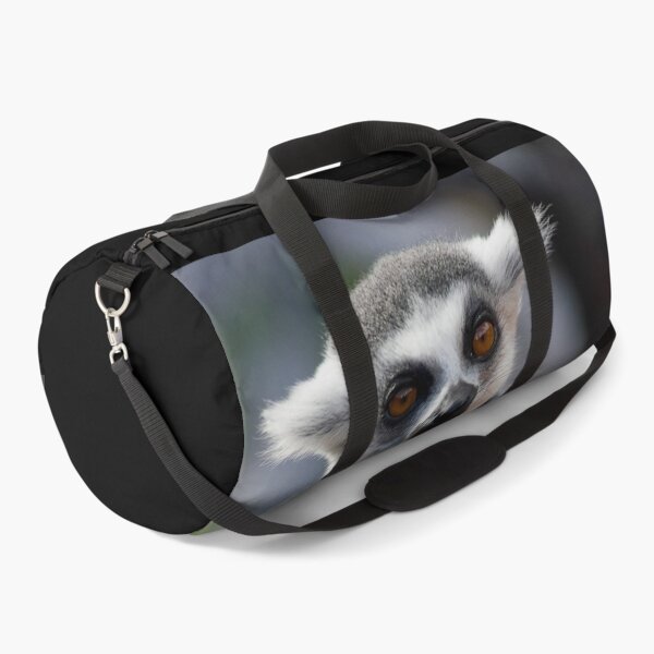 Item preview, The resting Ring-tailed Lemur monkey designed and sold by Between Clouds.