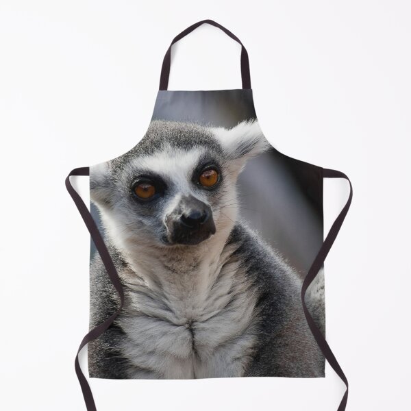 Item preview, The resting Ring-tailed Lemur monkey designed and sold by Between Clouds.