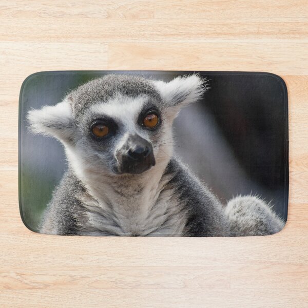 Item preview, The resting Ring-tailed Lemur monkey designed and sold by Between Clouds.