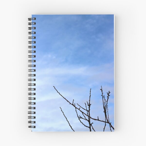 Item preview, Bare tree branches against blue skies designed and sold by chihuahuashower.