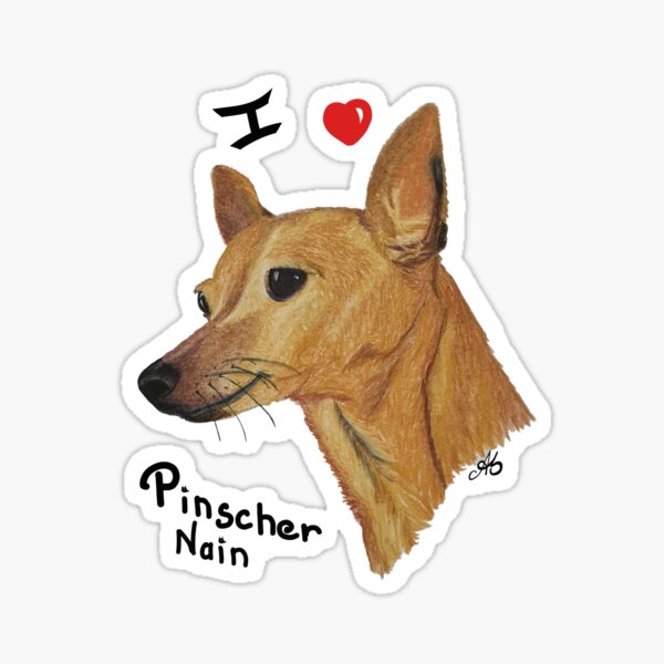 Vive le pinscher nain! Sticker