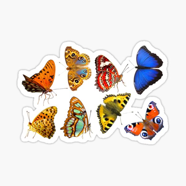 Butterfly Sticker Set Sticker For Sale By Bandsnthings Redbubble 1054