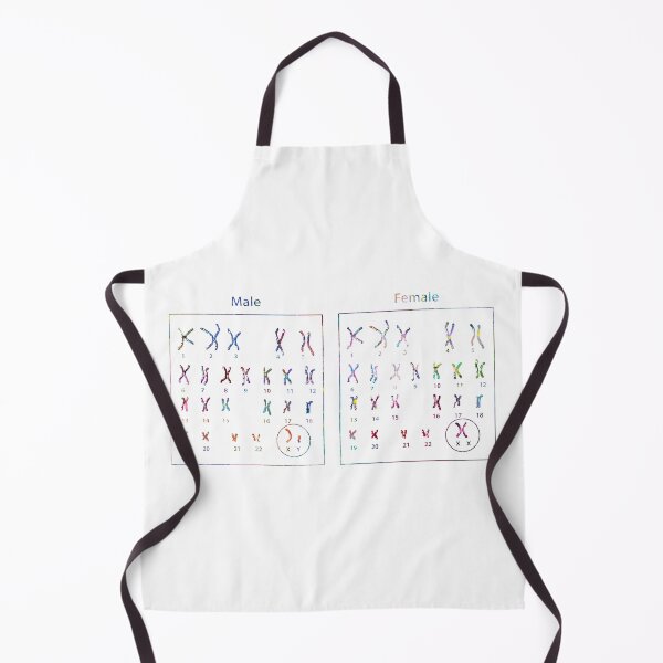 Item preview, Male and Female Chromosomes designed and sold by EvasDreams.