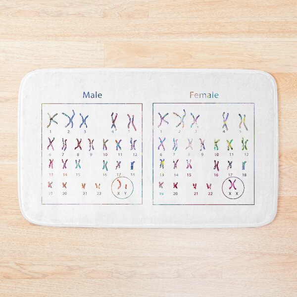 Item preview, Male and Female Chromosomes designed and sold by EvasDreams.