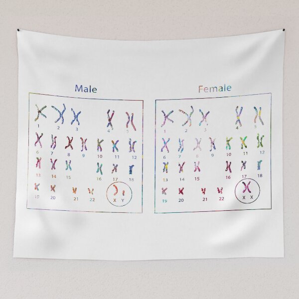 Item preview, Male and Female Chromosomes designed and sold by EvasDreams.