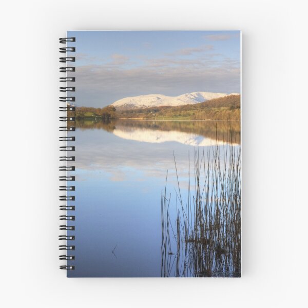 Item preview, Esthwaite Reeds  designed and sold by Jamie  Green.