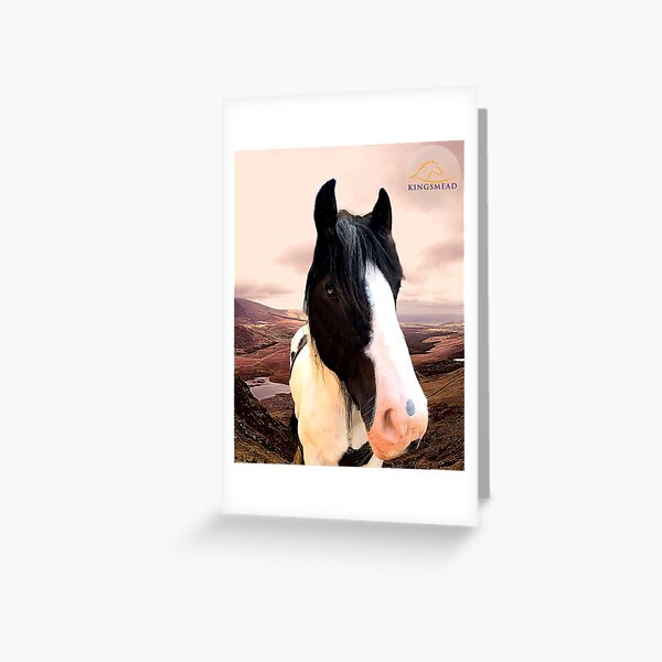 Puzzle Collection Greeting Card