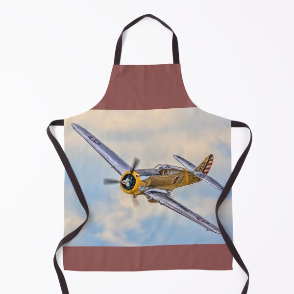 Item preview, Curtiss P-36C Hawk 38-210 N80FR designed and sold by Colin Smedley.