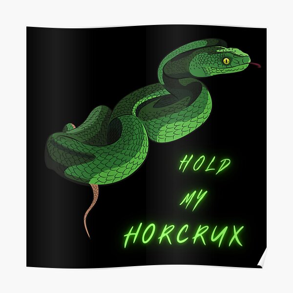 harry potter confessions. — Voldemort's relationship with Nagini and how  he...