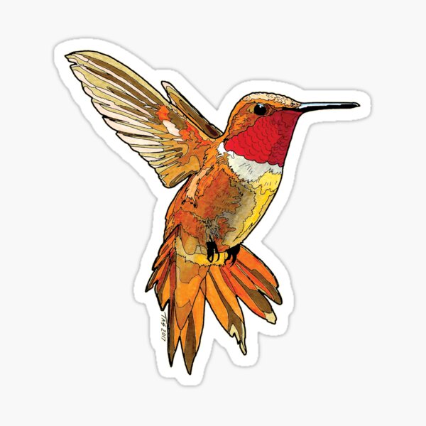 Rufous Hummingbird Matte Sticker 