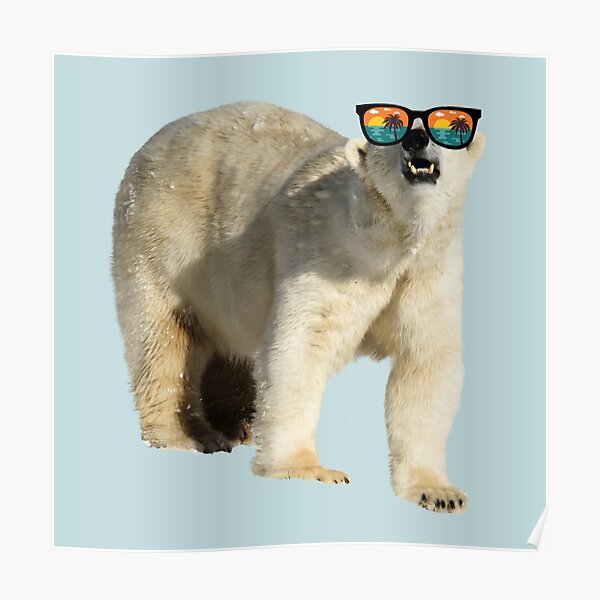 Poster Tier Tragt Eine Sonnenbrille Redbubble