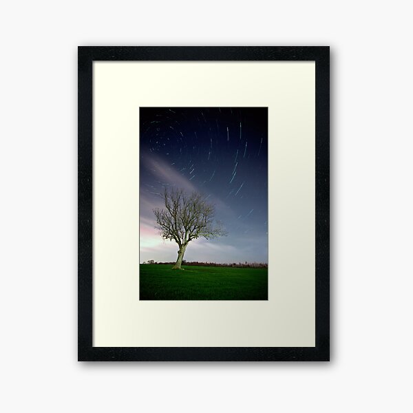 In The Night Garden Framed Art Print