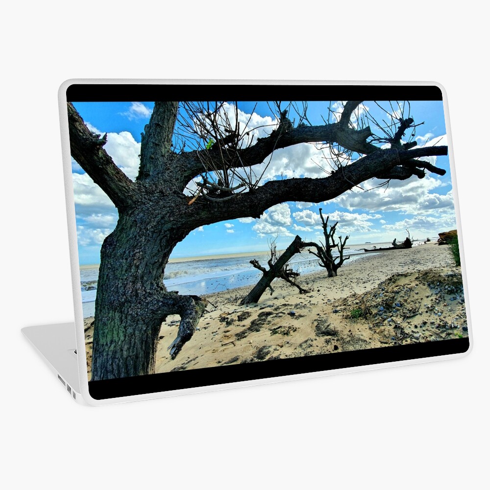 Item preview, Laptop Skin designed and sold by Frank-Vincent.
