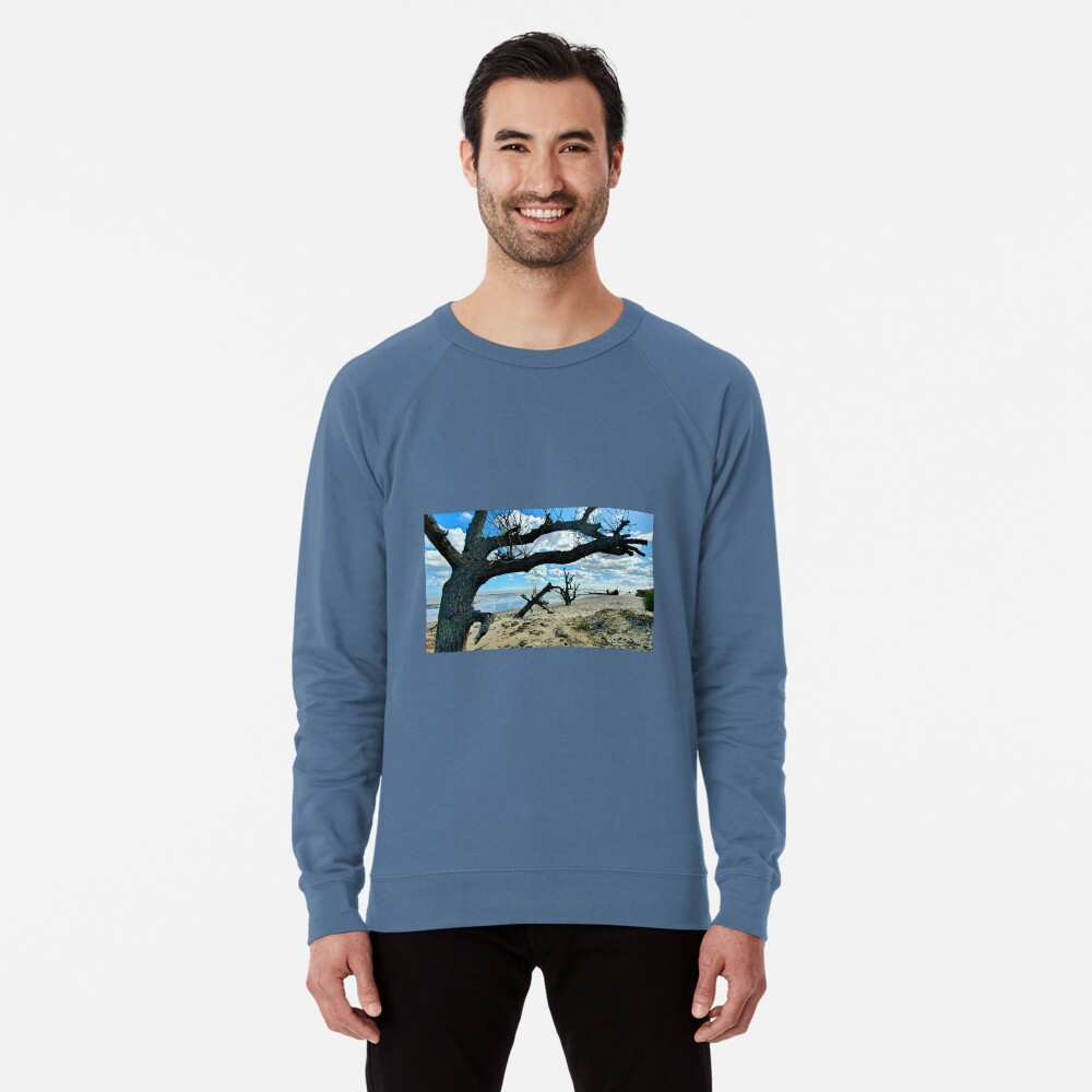 Item preview, Lightweight Sweatshirt designed and sold by Frank-Vincent.