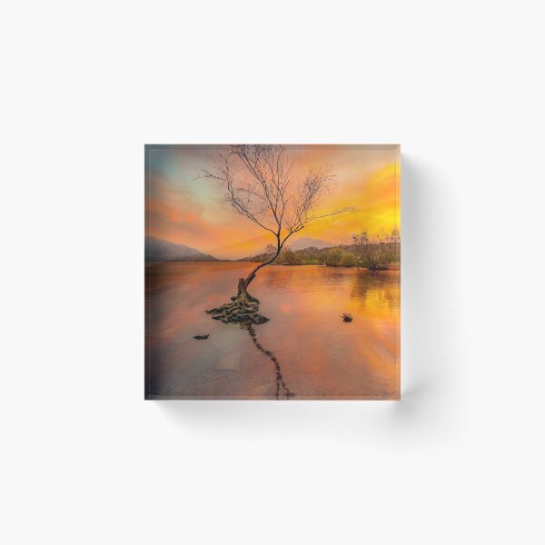 Item preview, Llanberis Lake Lone Tree Snowdonia designed and sold by AJEvans.