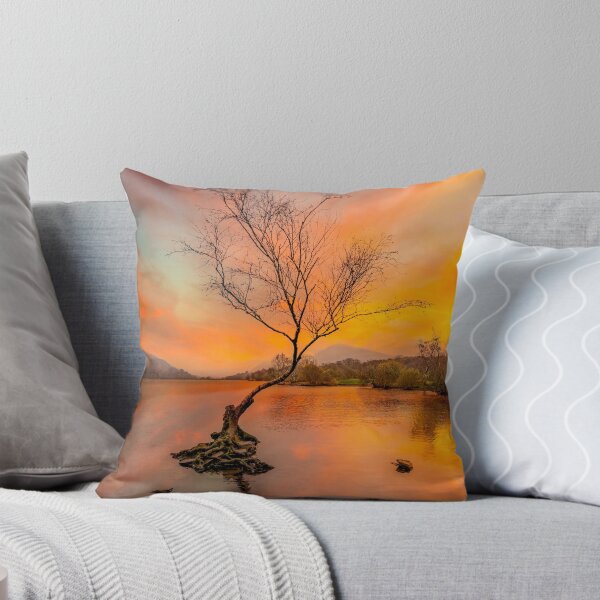 Item preview, Llanberis Lake Lone Tree Snowdonia designed and sold by AJEvans.