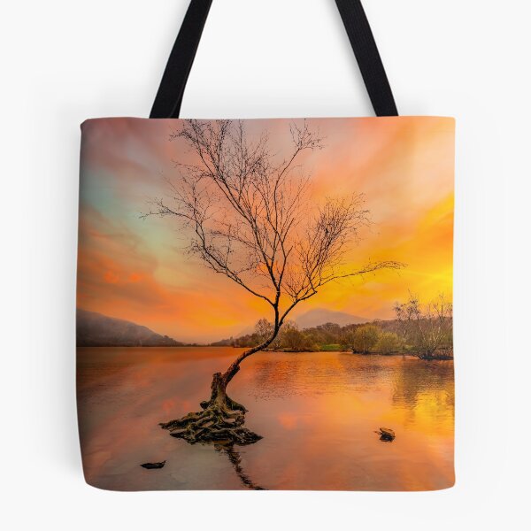 Item preview, Llanberis Lake Lone Tree Snowdonia designed and sold by AJEvans.