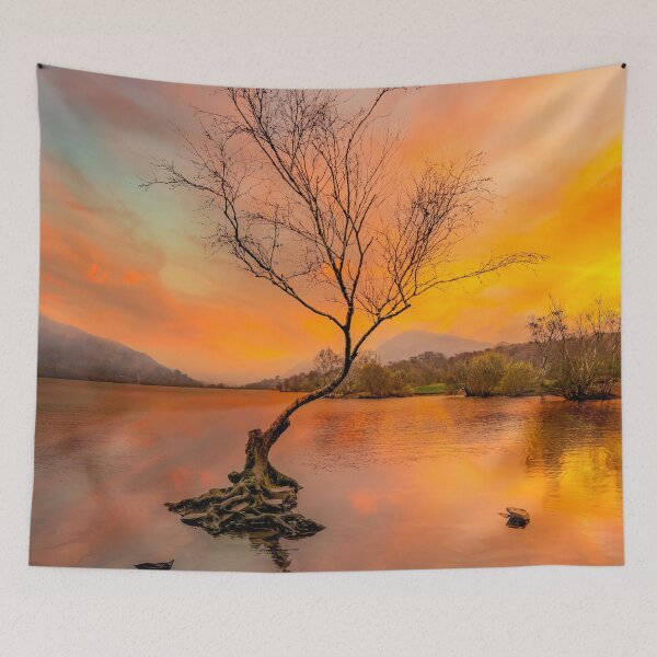 Item preview, Llanberis Lake Lone Tree Snowdonia designed and sold by AJEvans.