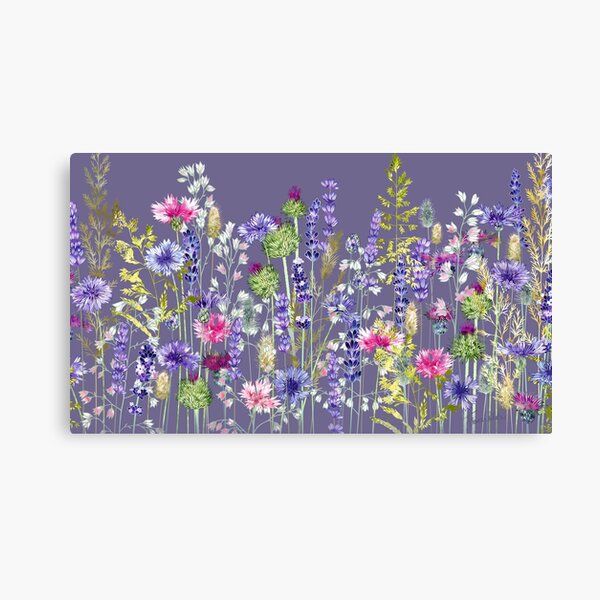 Flower Meadow - Cornflowers, Thistles & Lavender Canvas Print