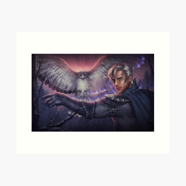 Hawk Art Print