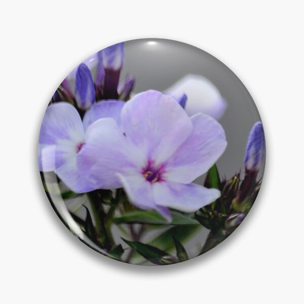 Item preview, Show Time designed and sold by michaelasamples.