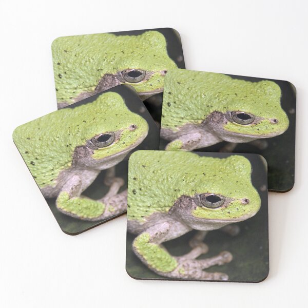 Item preview, Grey Tree Frog  designed and sold by mark-bugs-org.