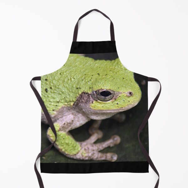 Item preview, Grey Tree Frog designed and sold by mark-bugs-org.