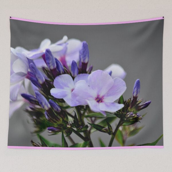 Item preview, Show Time designed and sold by michaelasamples.