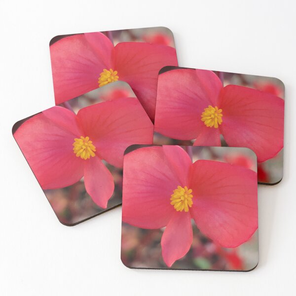 Item preview, Wildflower of Oreum , Jeju Island, Korea. designed and sold by human8891.
