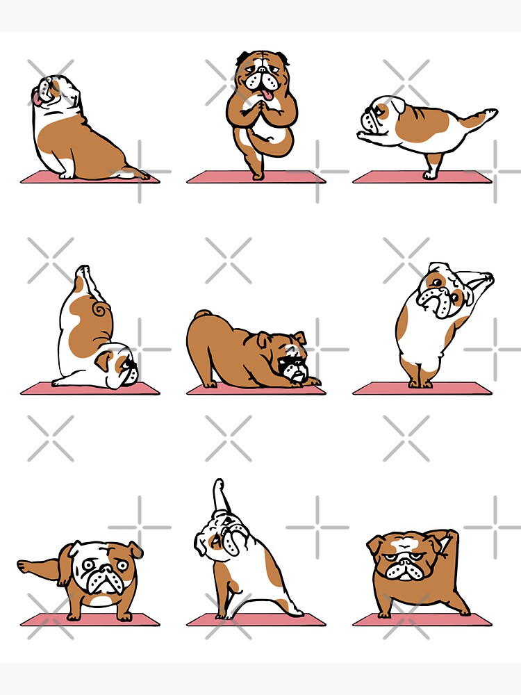 English Bulldog Yoga by Huebucket