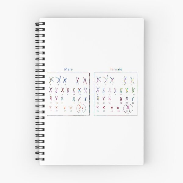 Item preview, Male and Female Chromosomes designed and sold by EvasDreams.
