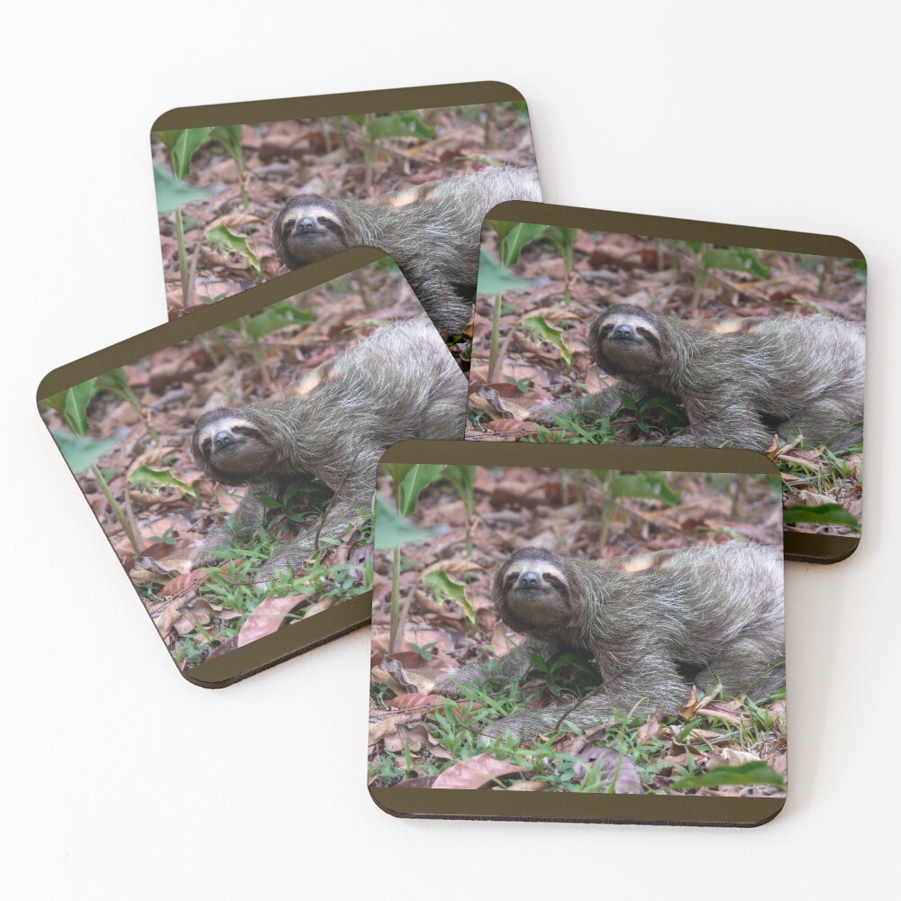 Item preview, Coasters (Set of 4) designed and sold by neteor.
