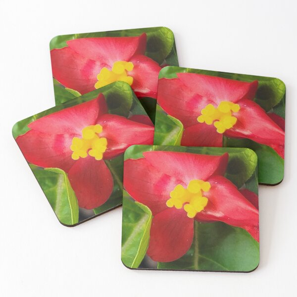 Item preview, Wildflower of Oreum , Jeju Island, Korea. designed and sold by human8891.