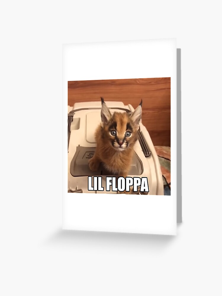 Big Floppa ft. Lil' Floppa, Cats