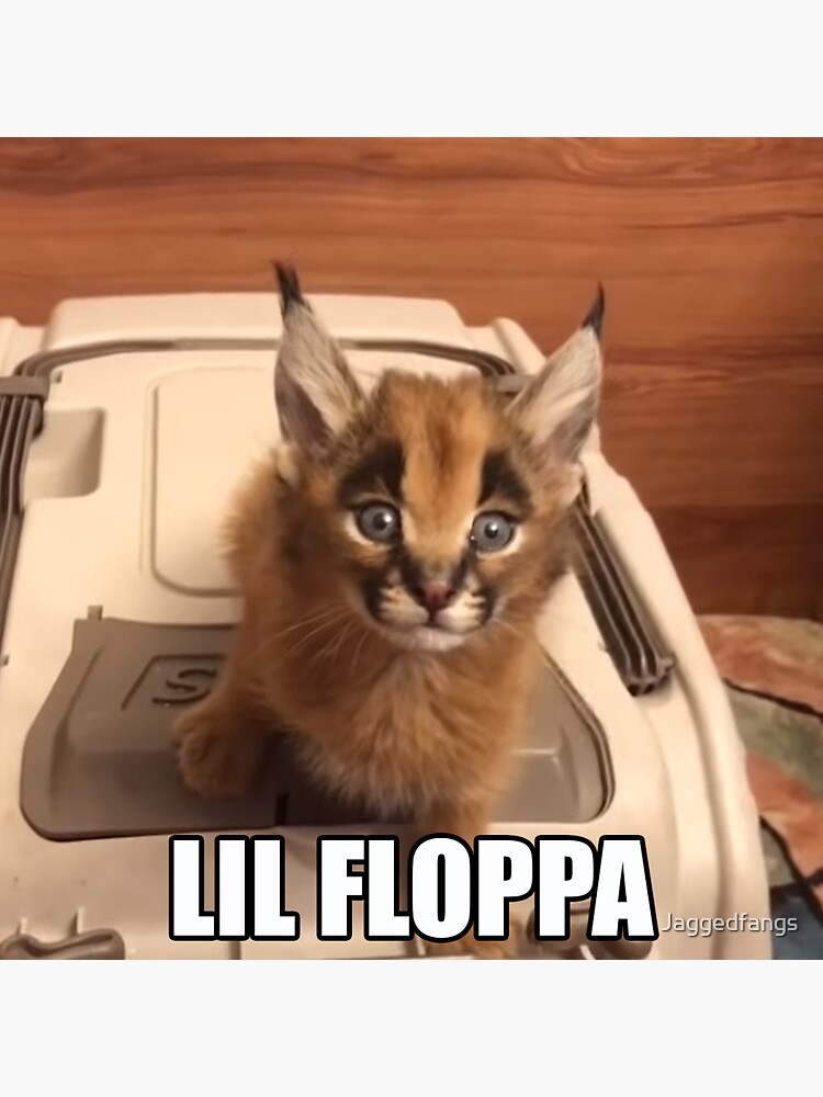 Big Floppa ft. Lil' Floppa, Cats