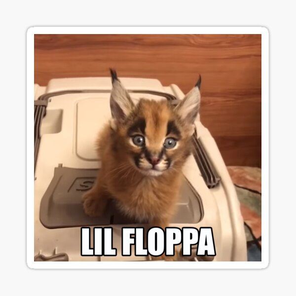 Big Floppa Meme Flop Off Flop On Cute Caracal Cat PopSockets Swappable  PopGrip