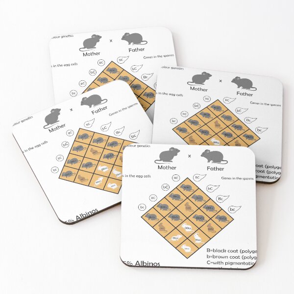 Item preview, Mendel Genetic Concept Crossing mouse Experiment Di Hybrid Cross With Include All Labels Mendel’s Laws Mendel’s Experiments Education Vector Illustration Diagram representing Epistasis  designed and sold by KARTICK DUTTA.