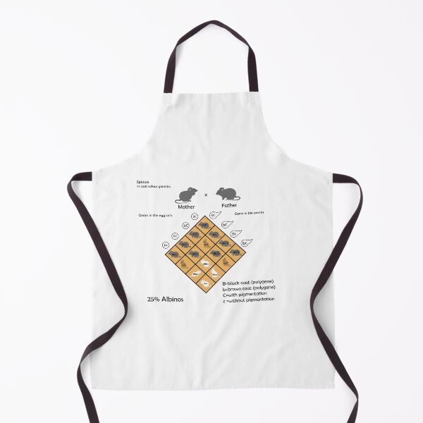 Item preview, Mendel Genetic Concept Crossing mouse Experiment Di Hybrid Cross With Include All Labels Mendel’s Laws Mendel’s Experiments Education Vector Illustration Diagram representing Epistasis designed and sold by KARTICK DUTTA.