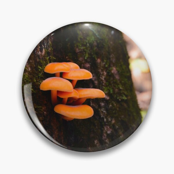 Item preview, Tree mushroom designed and sold by Plantlifegirl.