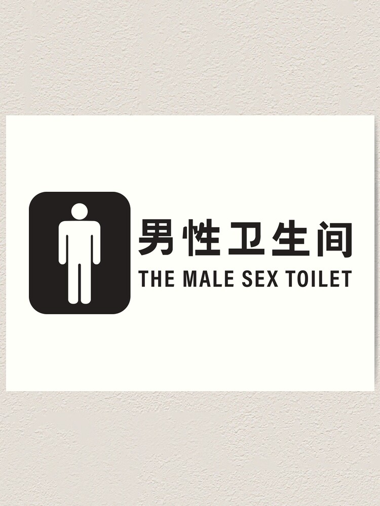 Bad Translation The Male Sex Toilet Funny Dumb Hilarious Art