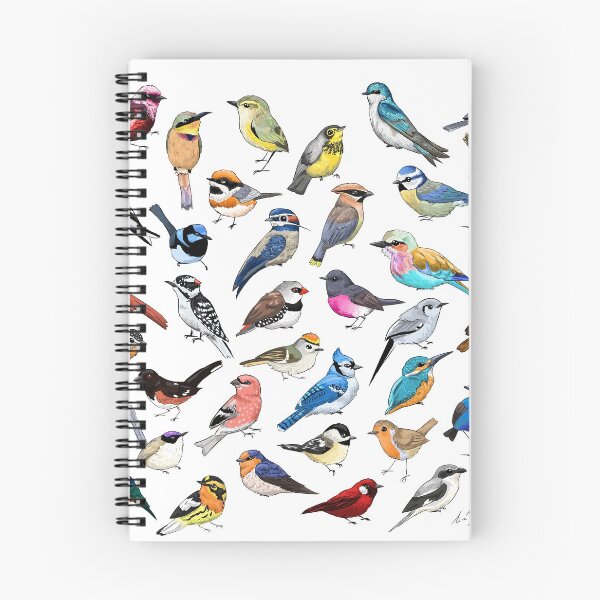 Item preview, BIRDS designed and sold by EmmaTompkinsArt.