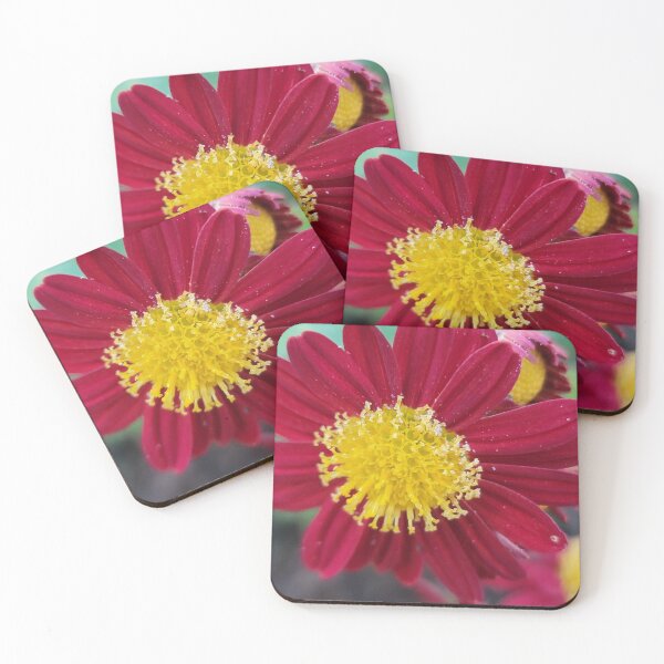 Item preview, Wildflower of Oreum , Jeju Island, Korea. designed and sold by human8891.