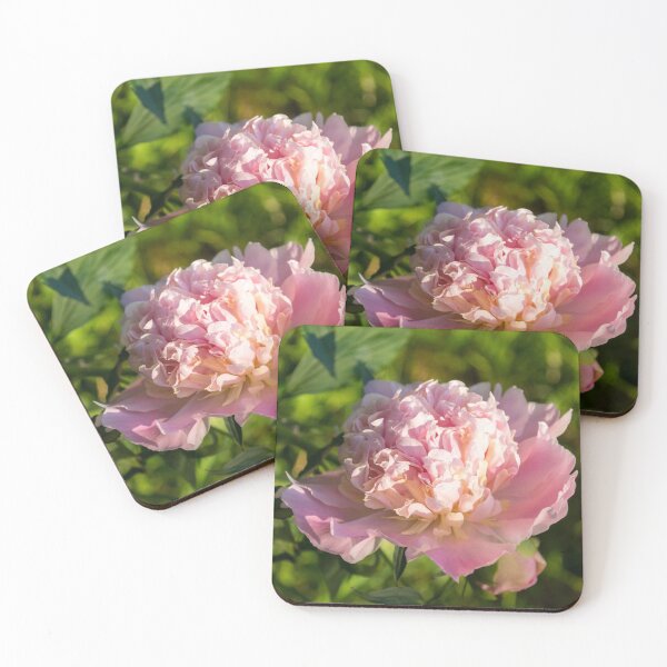 Item preview, Girly Pink Beauty in Brilliant Sunshine - One Very Showy Peony Bloom designed and sold by Georgia Mizuleva.