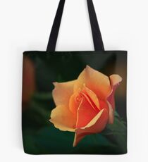 Rose light shadow Tote Bag