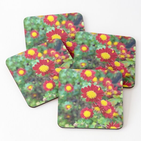 Item preview, Wildflower of Oreum , Jeju Island, Korea. designed and sold by human8891.