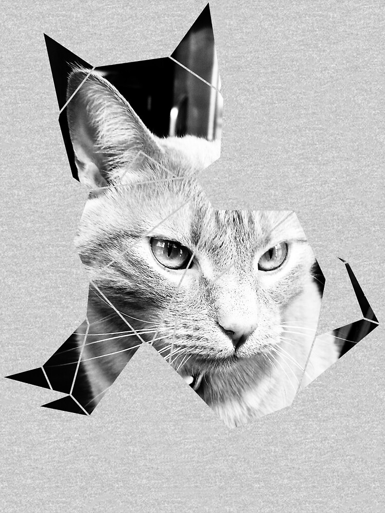 Black & White Cat Photo by np0341