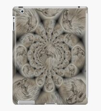 Eagles iPad Case/Skin